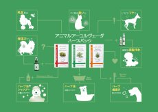 画像4: ドクターズヘルスハーブパック　 スターターキット (4)